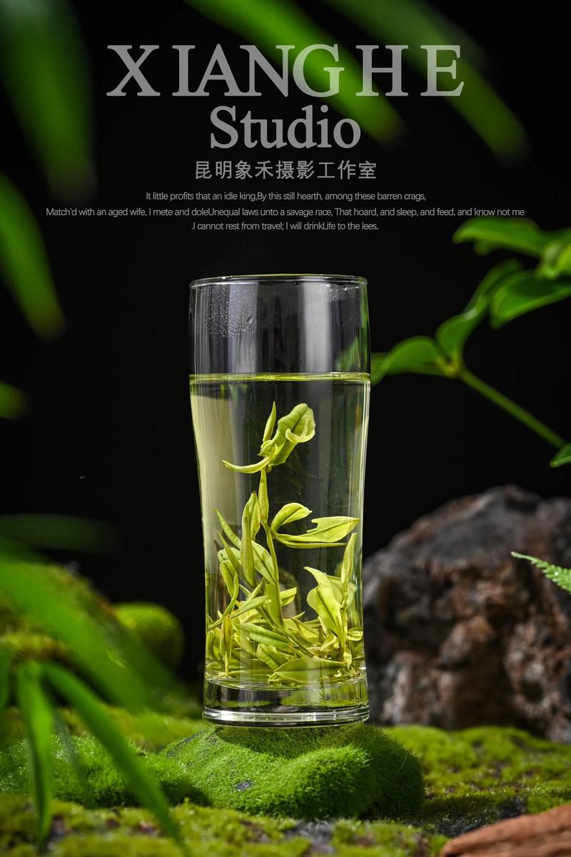 天猫入驻：拥抱电商新时代