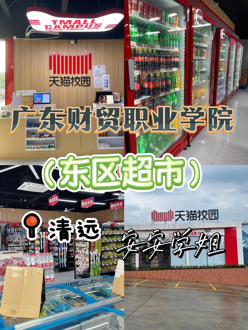 电商行业的风云再起：京东入驻成为新机遇